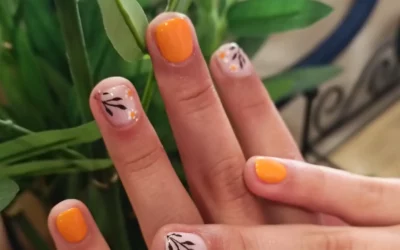 Nouveau site Internet