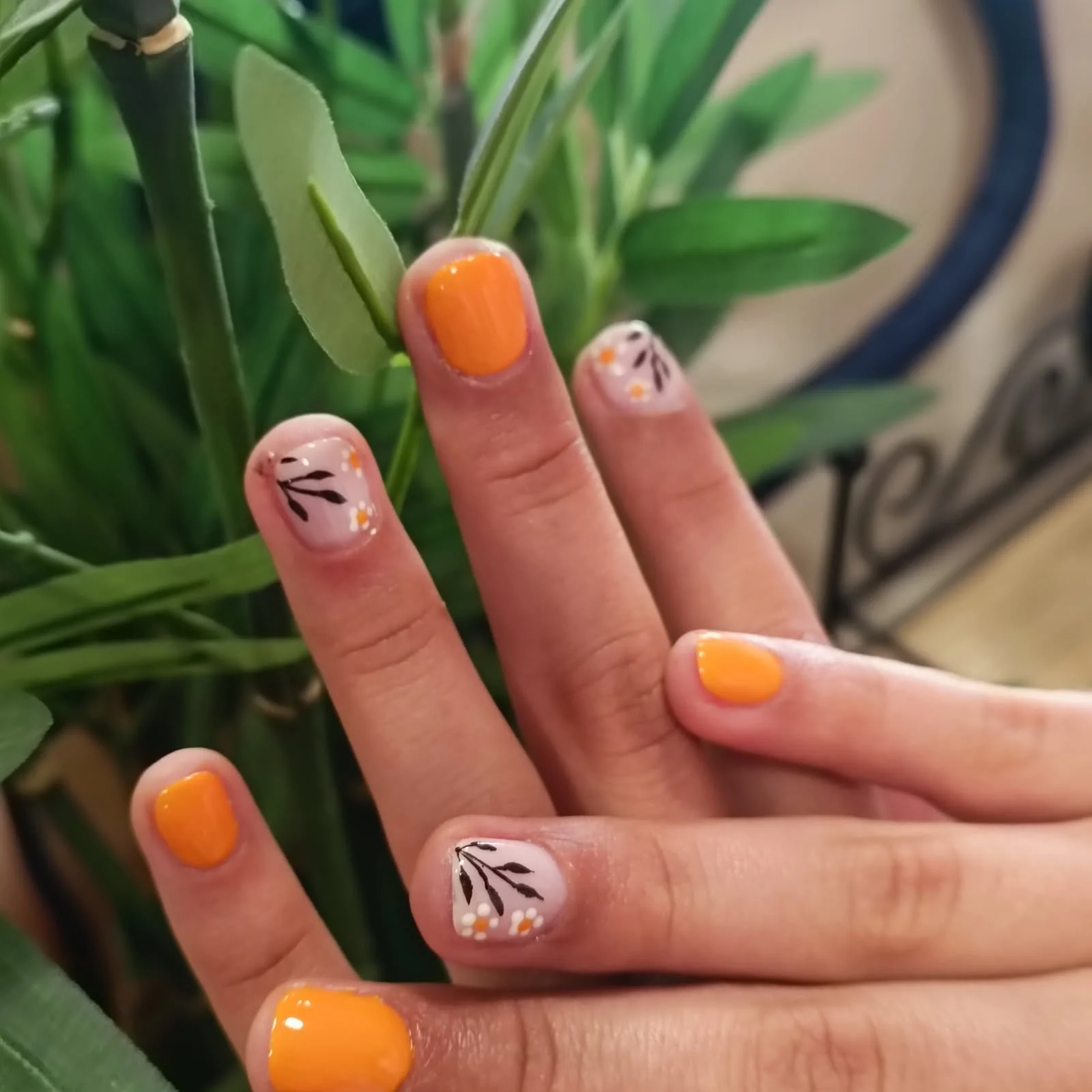 Nouveau site Internet